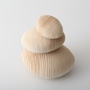 Galets (Stage tournage Escoulen)