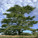 Meuble salle de bains