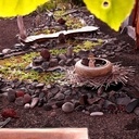 Trois points d'eau pour 3 appartement