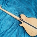 Basse électrique 5 cordes