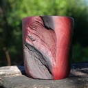 Pot-à-crayons préhistorique