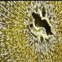 L'infini petit mais l'infiniment beau (Jean Claude Cerre)