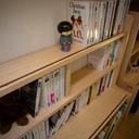 Duo de bibliothèques basses