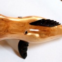 Un petit poisson tournage