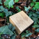 Les boucles d'oreille de Margaux