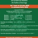 Formation charpente traditionnelle, ceinturage, equarrissage