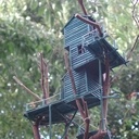 Rêve de cabane bleue