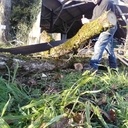 Découverte du travail du bois sans machine