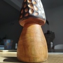 Une "petite" morille