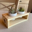 Supports en sapin pour air plantes