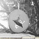 Boule de Noël en bois