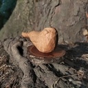 Phoque qui dit tchômi