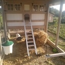 Grand poulailler en Douglas