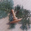 Toupie en baguette magique en pommier