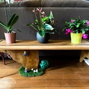 Un rocher d'escalade... ou bien une table ?