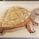 Une tortue en intarsia
