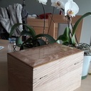 Boîte à huiles essentielles