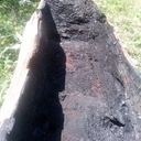 Manche "herminette"+ pot de fleur