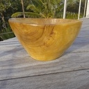 Bol géant en badamier