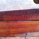 Amourette / pernambouc