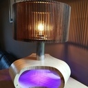 Lampe tout en courbe