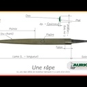 Râpe, râpeurs, râpez - La râpe un outil à (re)découvrir (Captation conférence ATDB 2024)
