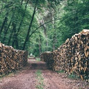 Fermeture d'une scierie