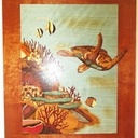 Marqueterie concours MAF 2012