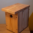 Appartements de location