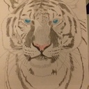 Tigre blanc marqueterie