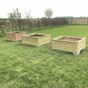 Carré potager