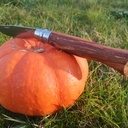 Opinel en bois de rose et rosier