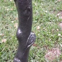 Restauration de banc