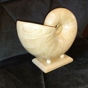 Un nautile en bois au tour