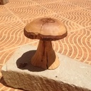 Un beau champignon sculpté