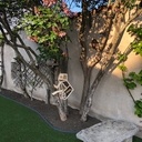 Hôtels à Insectes Caméléon