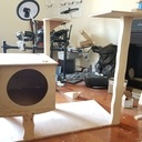 Le "Chat'O" des Plaisirs...une salle de gym pour chat