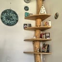 Etagere d'angle tronc d'arbre.
