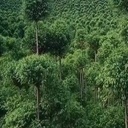 Une gestion forestière interessante ...