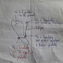 Schéma de principe de la gâchette