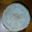 La nature est une artiste