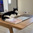 Table basse façon petit bureau avec piétement démontable