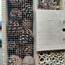 Hôtel à insecte