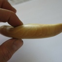 Et un kayak en buis ondé !