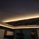Faux plafond / ciel étoilé