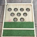 Golf Pong