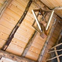 Lustre LED avec plante verte