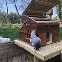 Poulailler "Poltrone & Sofia"