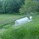 Serre à tomates 2mx5m