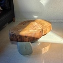 Table basse en rondins et pieds en pierre